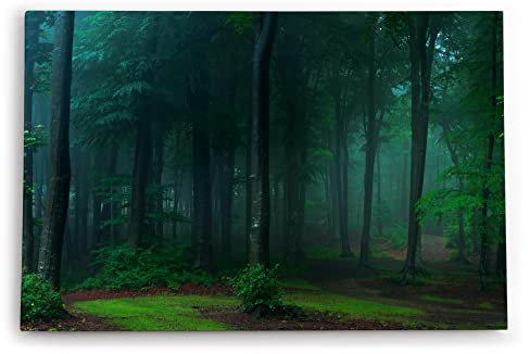 Paul Sinus Tableau mural décoratif - 90 x 60 cm - Forêt sombre - Arbres - Nature - Vert mousse