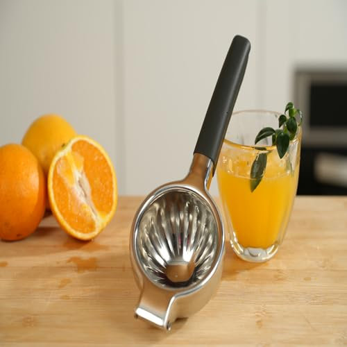 AOBOSI Entsafter Gemüse und Obst