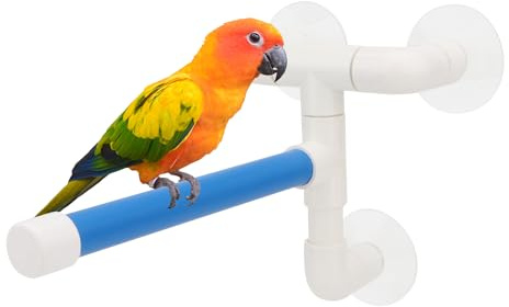 Hypeety Suction Cup Bird Perch Strong Window Shower Bath Stand for Parrots | 3 heavy-duty suction cups for glass/tile, portable holder platform for shower window use, for parakeets/conures/cockatiels, B