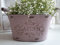 Arinosa Deko Schale Zink Landhaus Shabby Chic Vintage Rosa mit Holzgriffen 18 x 11,5X 10 cm