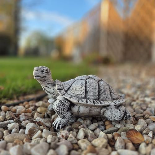 FABRIQ Stein schildkröte Statue, 5,5 kg, 23x30x16 cm – frostbeständige Gartenfigur mit erhobenem Kopf, langlebige Stein-Deko