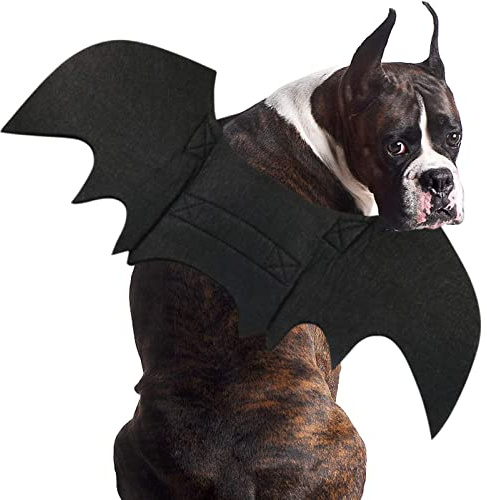 RANYPET Halloween Kostüm Hund Fledermaus, Fledermausflügel, Größe XL | Brustumfang 78-106 cm, Halsumfang 55-74 cm, 5 mm Filzmaterial, Klettverschlüsse, für Halloween-Partys & Cosplay