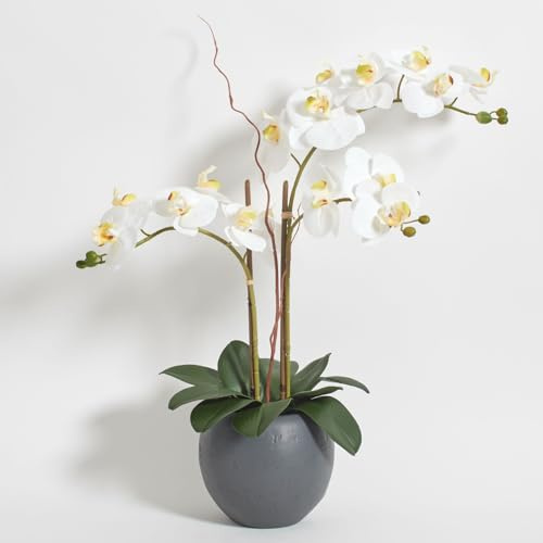 CG Hunter, Faux White Orchid Plant, 25 in, Grey, Home Decor