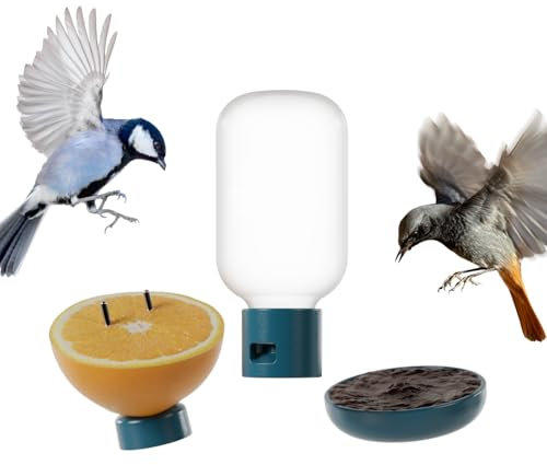 Bird Buddy Ensemble de Nutrition 3 en 1 – Accessoires d'extérieur pour Oiseaux avec Fontaine à Eau, Piquet à Fruits et mangeoire à gelée – Durable, Fixation Facile pour nichoir à Oiseaux