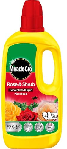AMK® Miracle Gro Rose & Shrub Concentrated Plant Food Liquid Feed Fertiliser 800ml More Blooms Healthier Plants