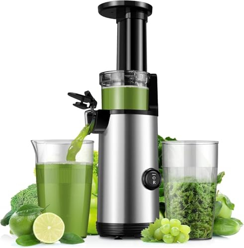 KIDISLE High Juice Yield Juicer Professional Juicer Machines Easy to Clean Cold Press Juicer Powerful Slow Masticating Juicer Small Juice Maker for Fruit and Vegetable Reverse Function 600ml Cup Brush