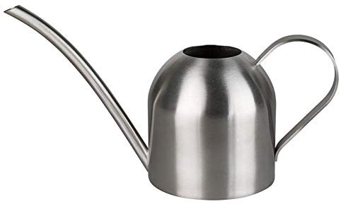 Hamkaw Büro-Gießkanne, ultradünn, moderner Stil, gebürsteter Edelstahl, 500 ml, Hauspflanzengießkanne mit komfortablem Griff, langer Auslauf, starker Körper für drinnen und draußen