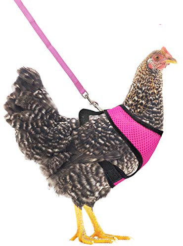 Yuepet Verstellbares Hühner-Geschirr mit Leine, elastisch, bequem, atmungsaktiv, Haustiergeschirr für Ente, Gans, Henne, für Lauftraining, Größe S