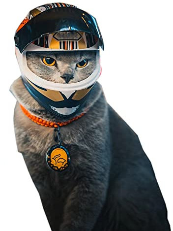 Haustier-Motorradhelm, Vollgesichts-Motorradhelm, Outdoor, Motorrad, Fahrrad, Reithelm, Hut für Katze, Hund, Hunde, Welpen, Kätzchen, Helm, Haustierbedarf, Sammlerstück, kleines Geschenk (Mehrfarbig)