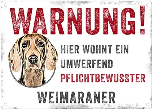 Cadouri Hunde-Warnschild WARNUNG! mit Weimaraner┊UV-beständig┊Türschild mit Hundemotiv 28 x 20 cm┊tolle Geschenkidee für Hundebesitzer