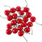 baolaili 20 Stück rote künstliche Kirschen, künstliche Früchte Dekor Simulation Kirsche Modell lebensechte Frucht Kirsche Ornament, Home Küche Party Dekoration Schreibtisch Ornament Fotografie
