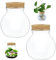 Generic Barattolo in vetro di terrarium trasparente rotondo con coperchi di sughero per piante d'aria succulenti