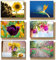 48 Grußkarten Blumen Klappkarten mit 48 Umschlägen Blumen & Garten