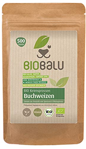 Bio Buchweizen Keimsprossen Samen 500 g - Microgreens & Sprossen Saatgut - Zur Anzucht im Sprossenglas, in der Keimschale & im Sieb - Keimsaat (Buchweizen)