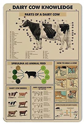 Póster de conocimiento de vaca lechera, cartel de metal, placa de pared, decoración vintage, retro, pintura de hierro, cartel de aluminio para decoración del hogar, bar, tienda, hombres, cueva, exteri
