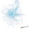 DRESHOW Fascinator Hüte für Damen Pillbox Hut mit Schleier Stirnband und Einer Gegabelten Clip Tea Party Kopfbedeckung