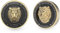 Guess Lion King Herren-Ohrringe, lässig, Artikelnr. JUME01318JWYGYBT/U, Weißgold