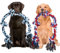 ROGTYO Lot de 2 jouets pour chien extra larges - Corde torsadée - 94 cm - Corde torsadée - Jouet interactif et robuste - Avec 5 nœuds - Jouet pour chiens de grande taille