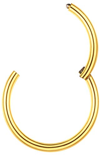 PROSTEEL 1mm/18 gauge Segmentring Septum Daith Conch Helix Rook Piercing 18k vergoldet Nasenring Nasenschmuck Universal Piercing Nase Ohr Schmuck Accessoire - 9mm goldfarben