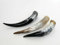Brillibrum 1 B-Ware Kuhhorn 15-50 cm Kuhhörner Rinderhörner Stierhörner Poliert Dekoration Länge Stier Horn Trophäe basteln dekorieren schmücken, Größe: 31-40 cm