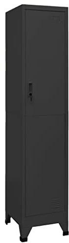 Hommdiy Schließfachschrank putzschrank Anthrazit 38x45x180 cm Stahl