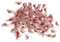 UPKOCH 100 Pièces Mini Pinces À Linge Décor en Bois Décor Coccinelle Clips Photo en Bois Pinces Photo Support Mignon Clips Photo en Bois Clip Collation Clips De Décoration Photo en Bois