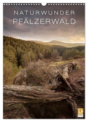 NATURWUNDER PFÄLZERWALD (Wandkalender 2026 DIN A3 hoch), CALVENDO Monatskalender: Der Naturpark Pfälzerwald von seiner schönsten Seite (CALVENDO Natur)