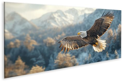 islandburner Bild auf Leinwand Adler Im Flug Vor Schneebergen Bilder Wandbilder Poster