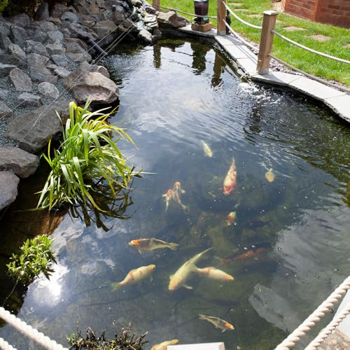 Blooming Fast Pond Clear Pro 2 Step Pack - XLarge treats up to 60,000L