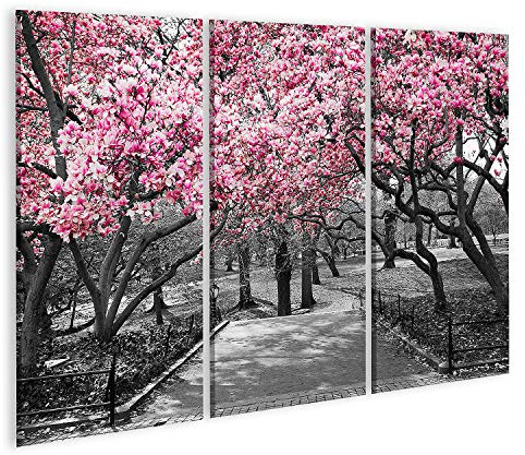 Quadro su tela New York City fiori rosa in bianco e nero Stampa Foto Quadri Moderni