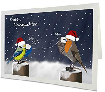 Lustige Weihnachtskarte mit Vogelmotiv Rotkehlchen und Blaumeise halten Abstand Inklusive Umschlag