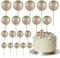 ASTARON 20 Pcs Ball Cake Topper Sticks Champagne Gold Balls Cake Picks for Birthday