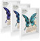 JMIATRY Lot de 3 Cadre Photo A4, Cadre 3D Profond, Cadre Photo 3D à Remplir, Cadre Profond Cadre Photo 3D Profond pour décoration murale, bureau, cadeau - 21x29.7cm