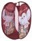 Harry Potter Aufbewahrungskorb - Hedwig Eule Faltbar für Kinder POP-UP Kinderzimmer Wäschekorb Rot 34 x 34 x 59 cm