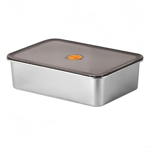Filteilect Edelstahl-Frischhaltedose mit Deckel, große Kapazität, Kühlschrank-Organizer für Fleisch und Snacks, Küchenbox hält frisch (30 x 21 x 8,5 cm)