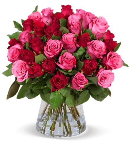 Blume Ideal Rosenstrauß | 50 Rosen - Romantic Roses | Ø 40–50 cm | Echte Premium Rosen für Hochzeit & Deko | 7 Tage Frischegarantie | In verschiedenen Farben und Mengen