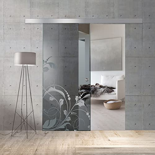 BOSS Porta Scorrevole in vetro modello LA VIE 60x215 cm (60/80/90 cm) 8 mm, vetro Grigio, Nano rivestito incolore, kit hardware complete (60x215 cm, SINISTRA)