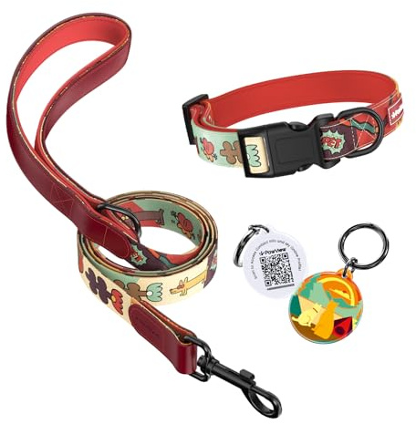 Sonnenaufgangs Stil Personalisierte Hundeleine und Halsband Set Verstellbar, mit Hundemarke qr Code, Passend für kleine Hunde und mittelgroße Hunde S (Halsumfang: 28–43 cm, Leinenlänge: 1.5 m) DE