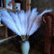 Lot de 8 Fausses Herbes de Pampa Blanches de 110 cm, Grandes Fleurs artificielles moelleuses de la Pampa, Longues Fausses Fleurs en Plumes pour Un Mariage bohème, Une Chambre à Coucher, Un Salon