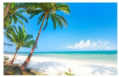 Natur Landschaft Tropen Strand Palmen Poster Meer Sonnenschein Bild Drucke Leinwand Malerei Wand Kunst Für Wohnkultur A5 50X70Cm Kein Rahmen