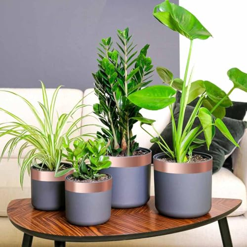 GeenYuu Copper Tape 6 Pieces Copper 50mm x 20m Double Sided Adhesive with Strong Adhesive for Garden, Plants, Snail Repellent, Versatile Flexible for Lawn, Fruit Tree, Vegetables, Greenhouse