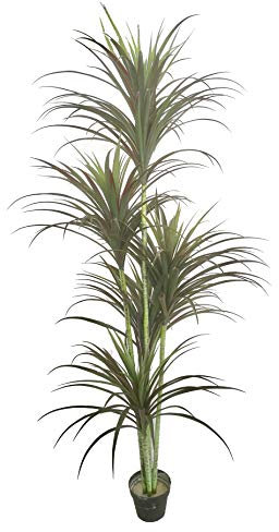 AMERIQUE Gorgeous & Unique 6 Feet Five Head Yucca Artificial Plant Tree with 151 Leaves, Feel Real Technology, Green (Model: MB5516D6P)