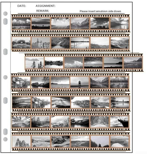50 Stück Negativfilm-Aufbewahrung für Seiten, Säurematerial, 42 Rahmenkapazität, entworfen für die Konservierung von 35 mm und anderen Filmen (135 Stück pro Packung mit 50 Stück)