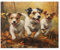 Animal Wooden Puzzles Jack Russell Terriers in Autumn Park 1000 Pieces Adult Jigsaw Puzzles Children Adults Adolescents Stress Reduction Toy Gifts Learning and Educational Games