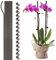 WIVAYE 10 Stück Pflanzenstützstäbe mit 15 Pflanzenklammern, 61 cm hoch, einzelner Stiel, kunststoffbeschichtet, Garten-Pflanzstäbe für Amaryllis, Orchidee, Lilie, Rose, Tomaten, 60cm/23.6inch, Braun