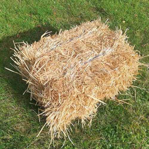 XIAOLAN Haystack Decorative Hay Bale, Square or Round, Natural, 50 * 40 * 30cm, for Wedding Shooting Props and Scene Layout, Original Ecology Villa Farm, 1 Unit