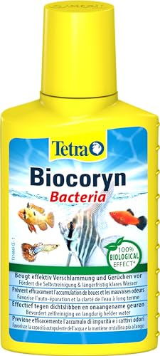 Tetra Biocoryn - Purificador de Agua para la biodegradación de contaminantes, previene la sedimentación y los olores en el Acuario, 100 ml