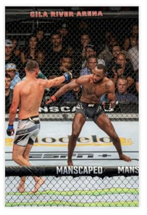 efhavce Poster auf Leinwand, Motiv: Nate Diaz Vs Leon Edwards, Schlafzimmerdekoration, Landschaft, Büro, Raumdekoration, Geschenk, 30 x 45 cm