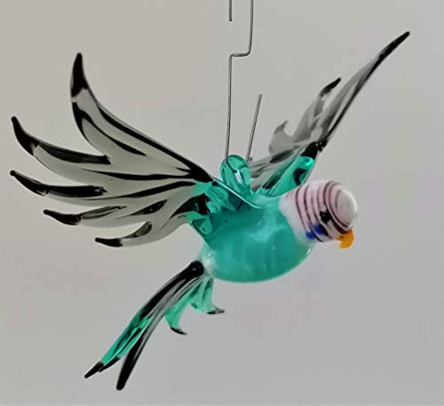 Hängevogel, Wellensittich (türkis)