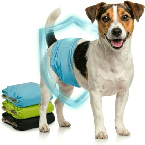 HUND IST KÖNIG Hundewindeln für Rüden [3 STK] Saugstarke Hundewindeln Rüde | Bequeme Hunde Windeln bei Inkontinenz Hund - Umweltfreundliche Rüdenwindel waschbar | Hundewindel leicht zu reinigen